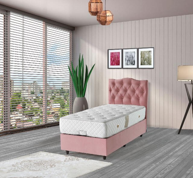 Arya Baza